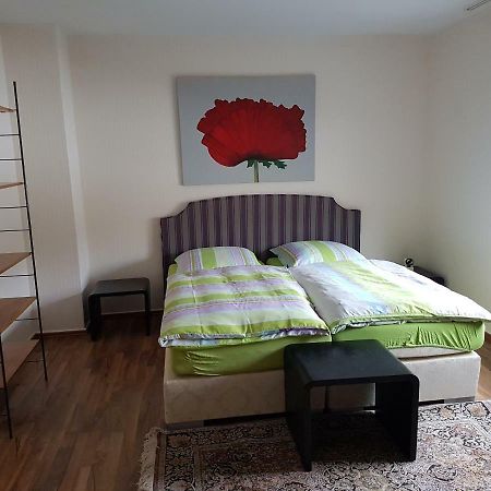 Modern-Comfort-Inn 1 Kreuzau Esterno foto